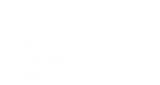 Voov
